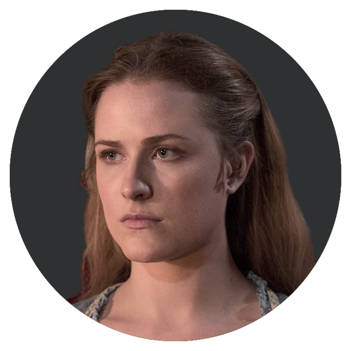 De cast en characters van Westworld