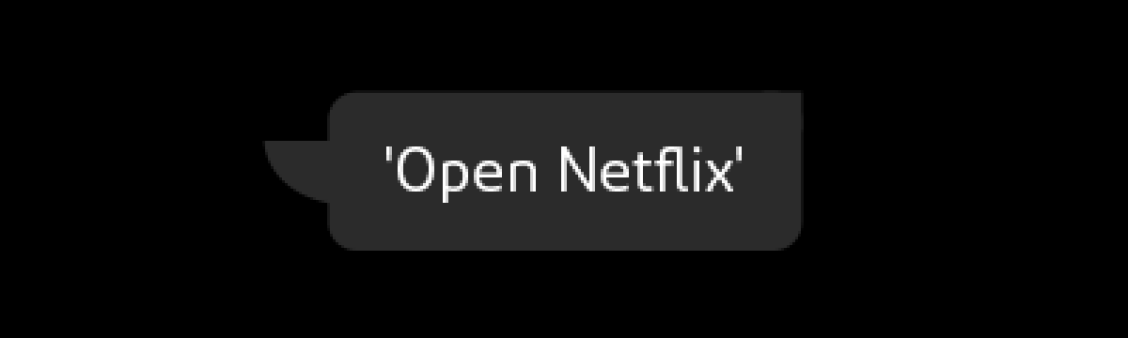 Spraakcommando Open Netflix