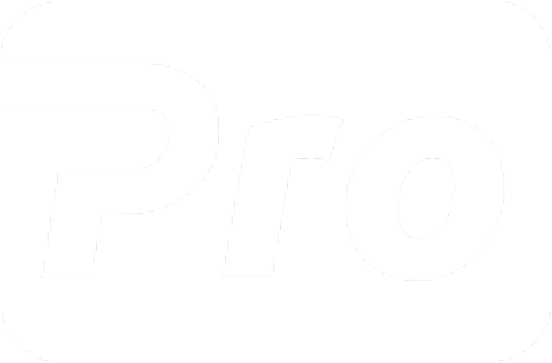 Zakelijk Internet Pro