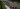 Formule 1 GP van Italië