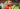 Go Ahead Eagles - Aston Villa | UEFA Europa League