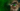 Green Eyed Killers | seizoen 5