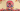 Electric Bloom
