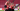 PSV - FC Twente
