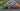 NASCAR Euro Series