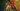 Star Trek: Starfleet Academy | seizoen 1