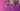 Roze Maandag | Live
