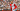 Real Betis - Feyenoord | Champions League