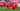 Lincoln Red Imps - FC Twente | UEFA Conference League