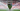 UEFA Champions, Europa & Conference League